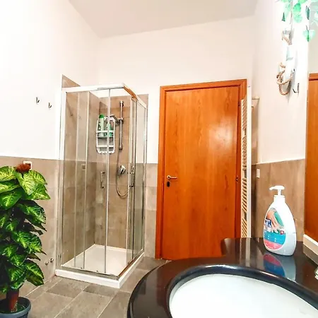 Guest Piave 1